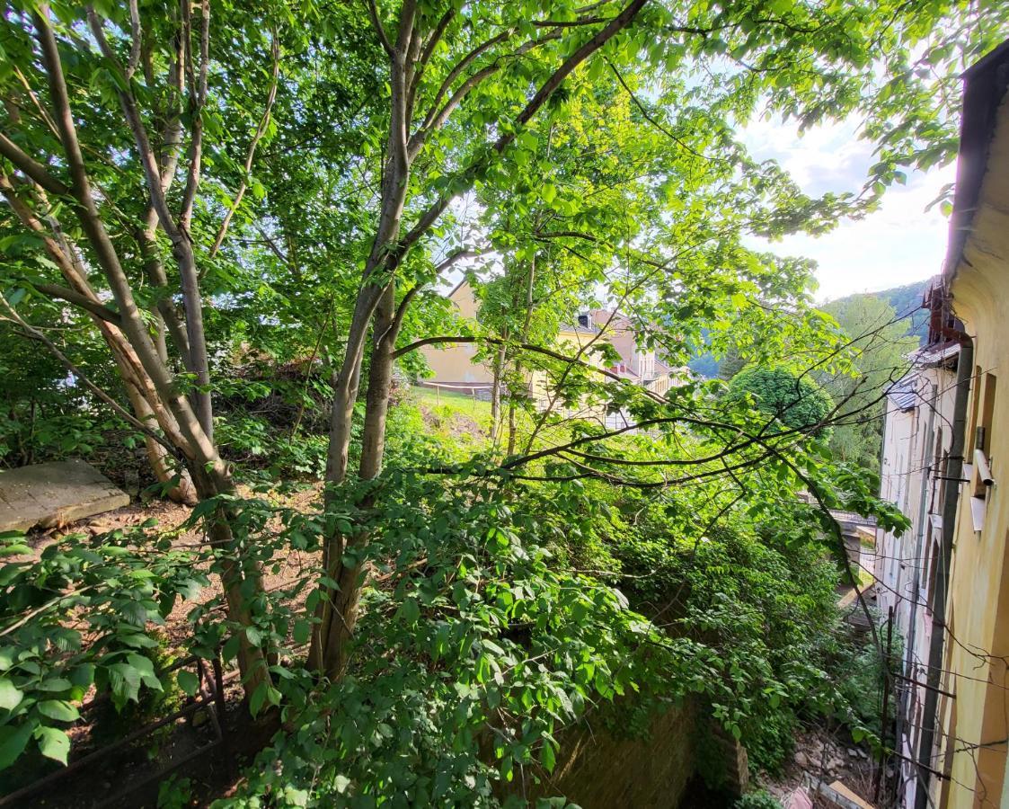 Excellent Apartments In Spa City Center 5 Min Walk From The Colonnade Karlovy Vary Esterno foto