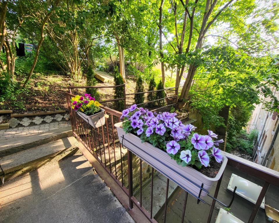 Excellent Apartments In Spa City Center 5 Min Walk From The Colonnade Karlovy Vary Esterno foto