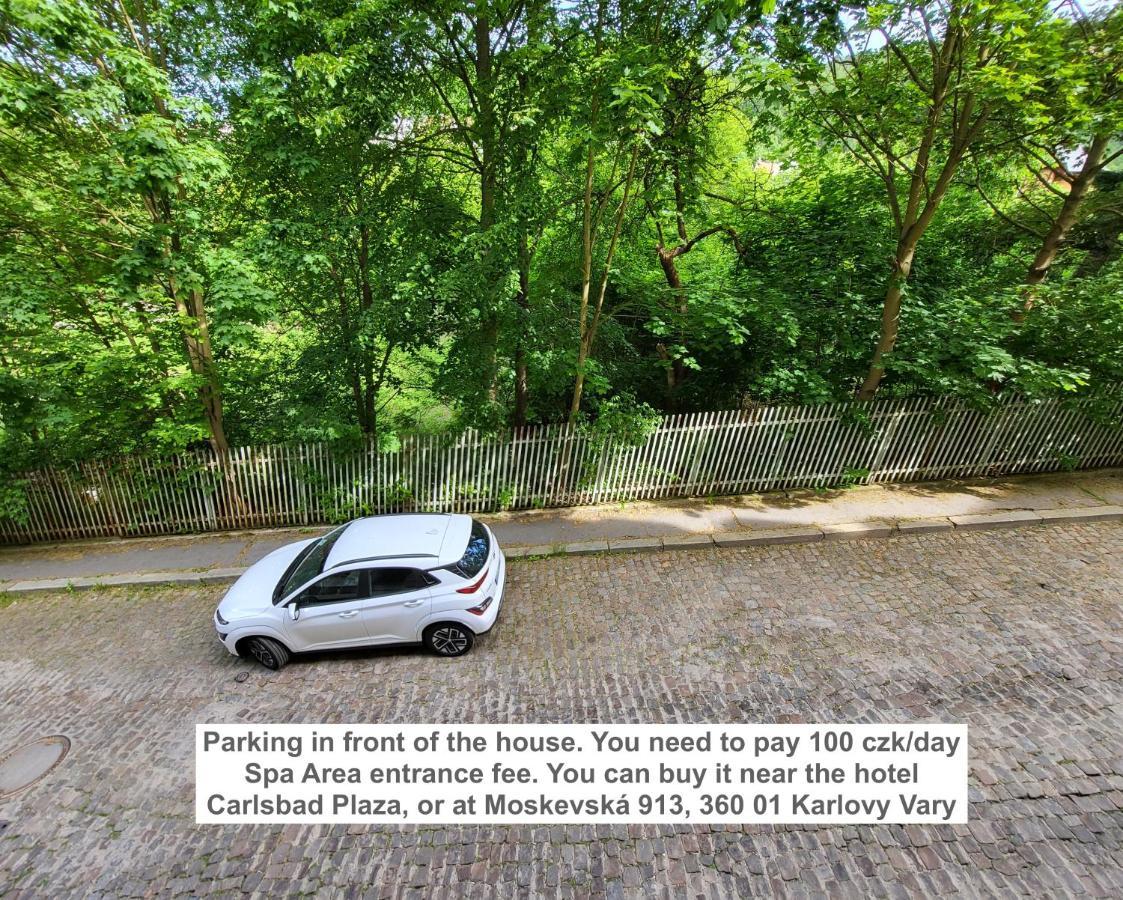 Excellent Apartments In Spa City Center 5 Min Walk From The Colonnade Karlovy Vary Esterno foto