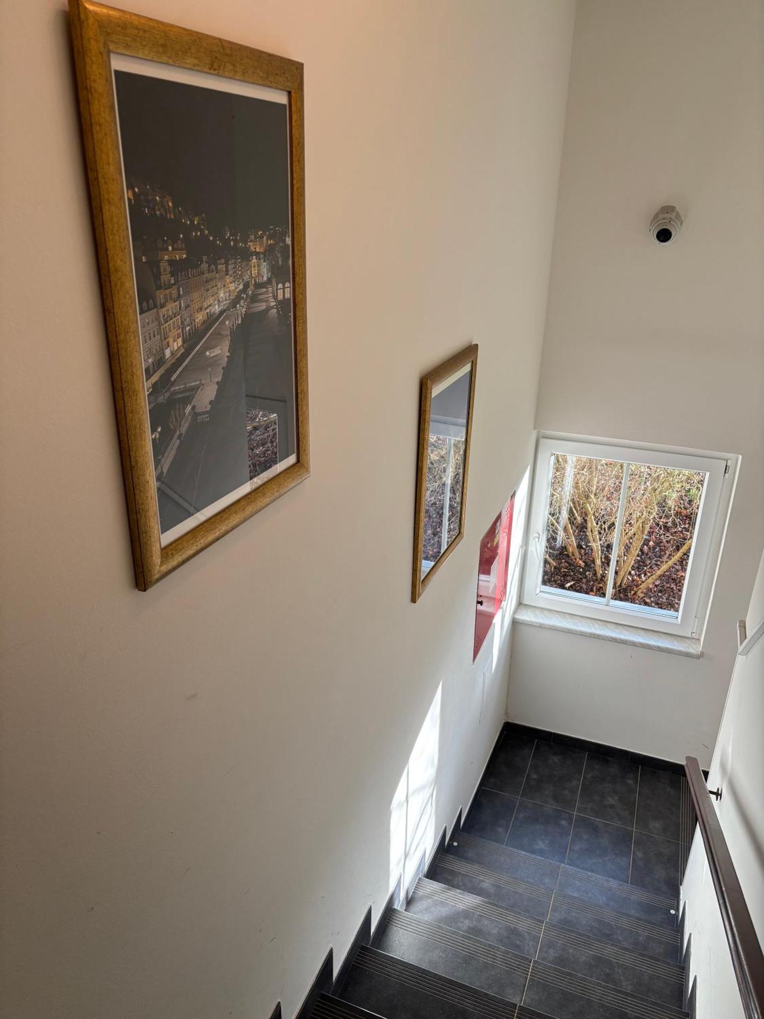 Excellent Apartments In Spa City Center 5 Min Walk From The Colonnade Karlovy Vary Esterno foto